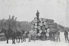 log_banking_for_sawmill